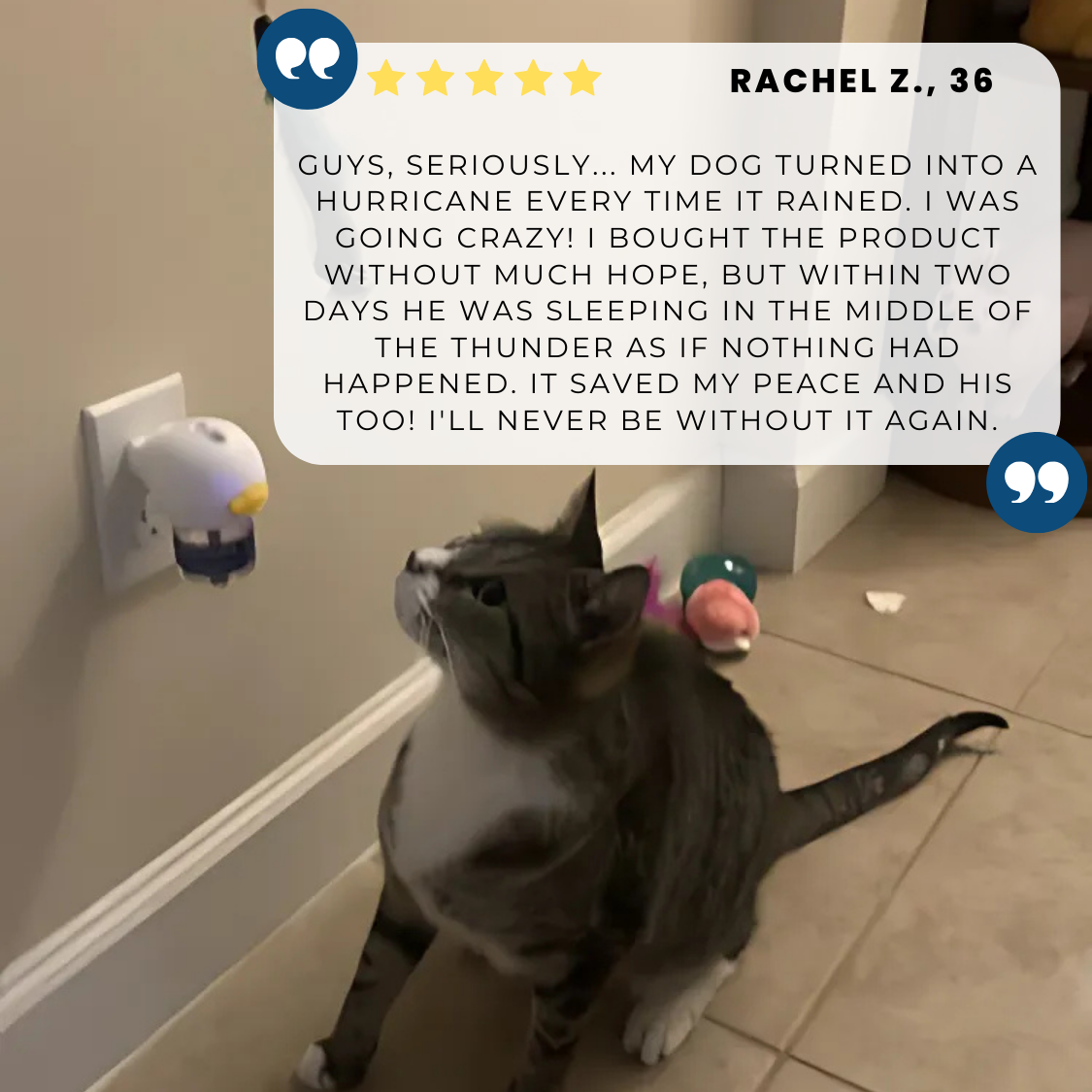 WhisperCalm™ Canine Diffuser - Dogs calming treats