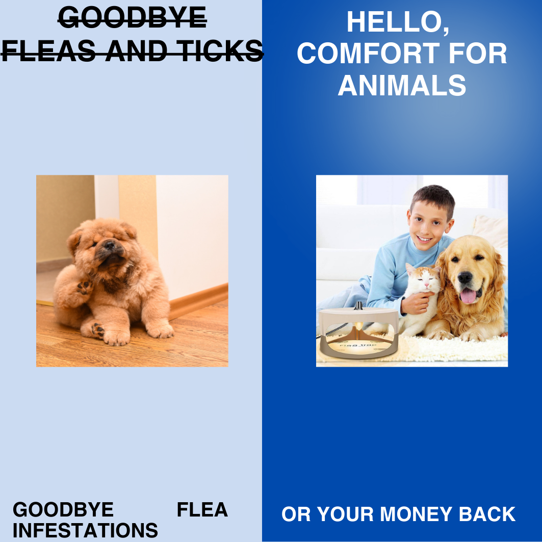PetZone Flea Trap Pro™ - Flea Trap For Home