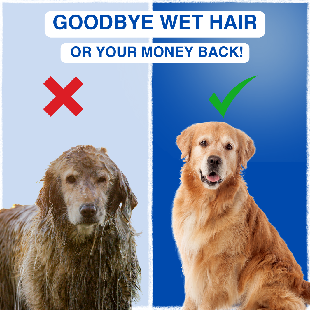 PetBreeze™ - Dog Hair Dryer