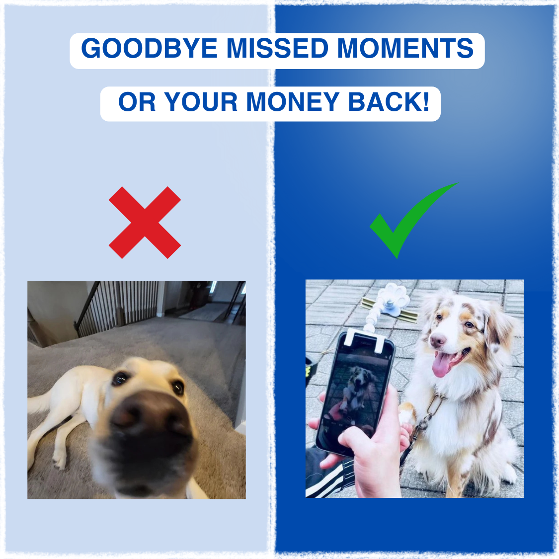Pet-fect™ - Pet Selfie Stick