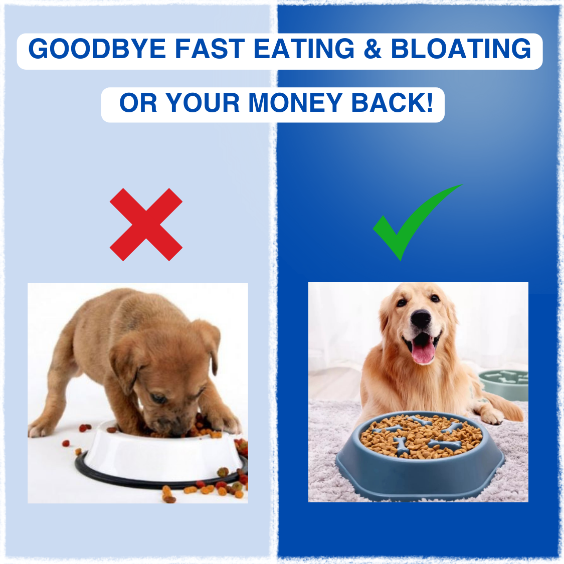 PetPot™ - Slow feeder
