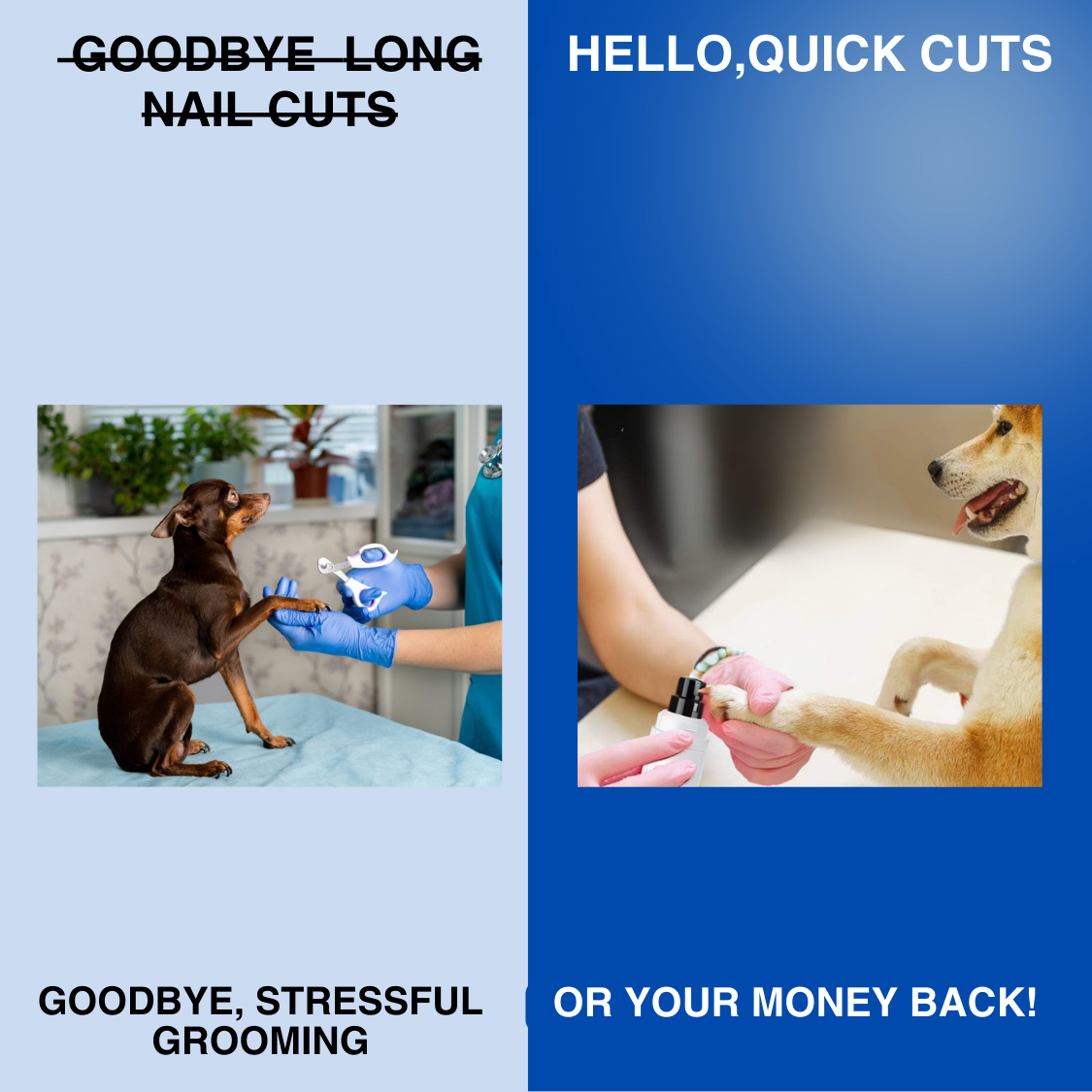 ClawCare Precision™ - Pet Nail Grinder