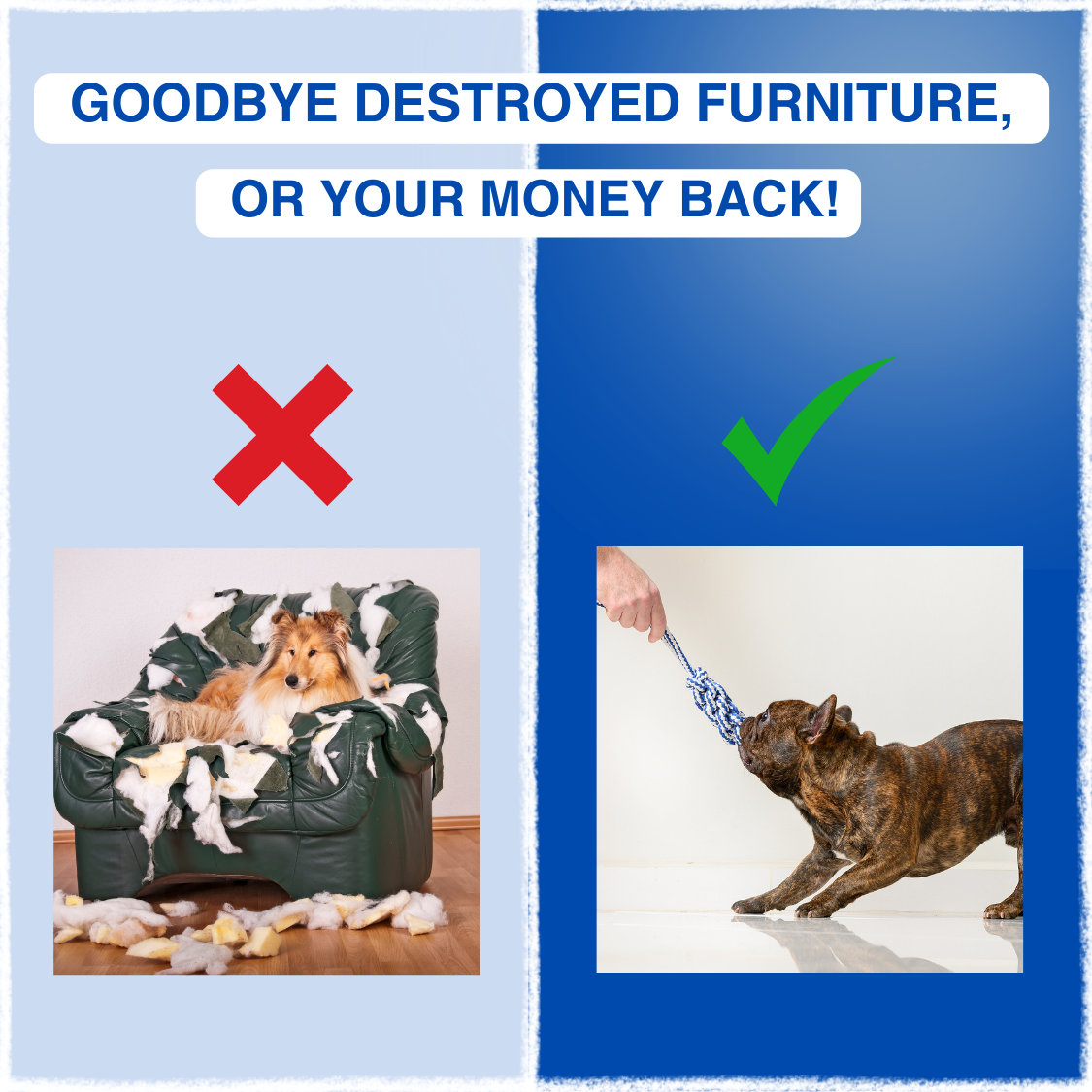 Chewster™ - Dog chew toy