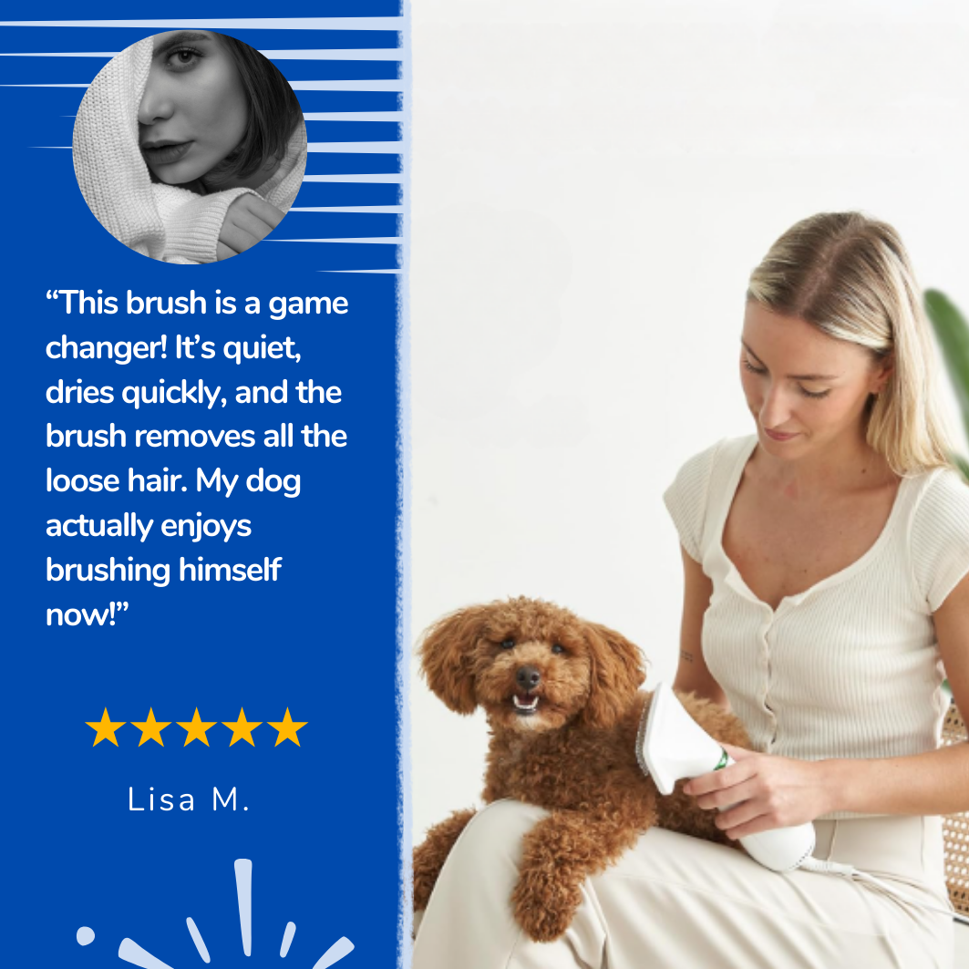 PetBreeze™ - Dog Hair Dryer