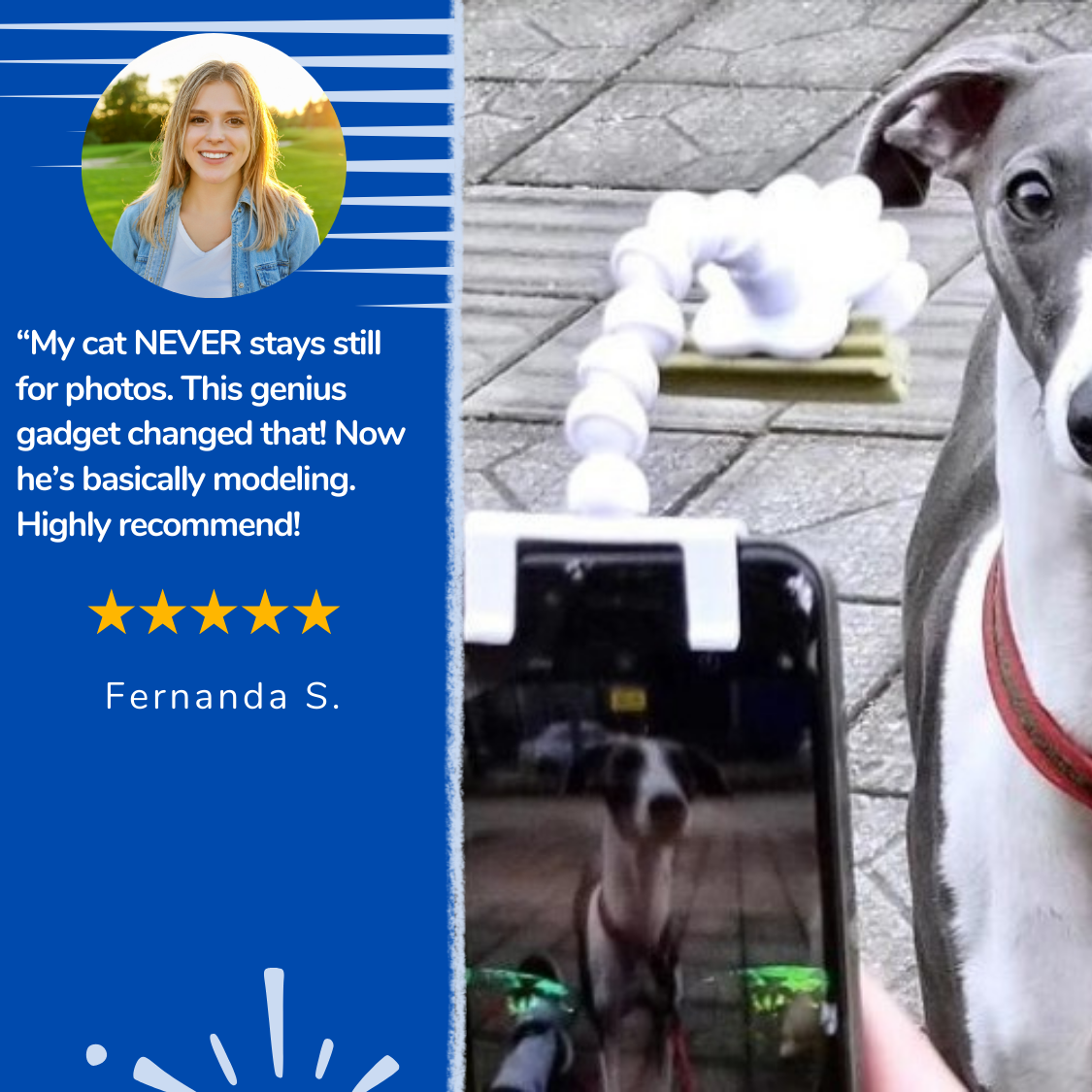 Pet-fect™ - Pet Selfie Stick
