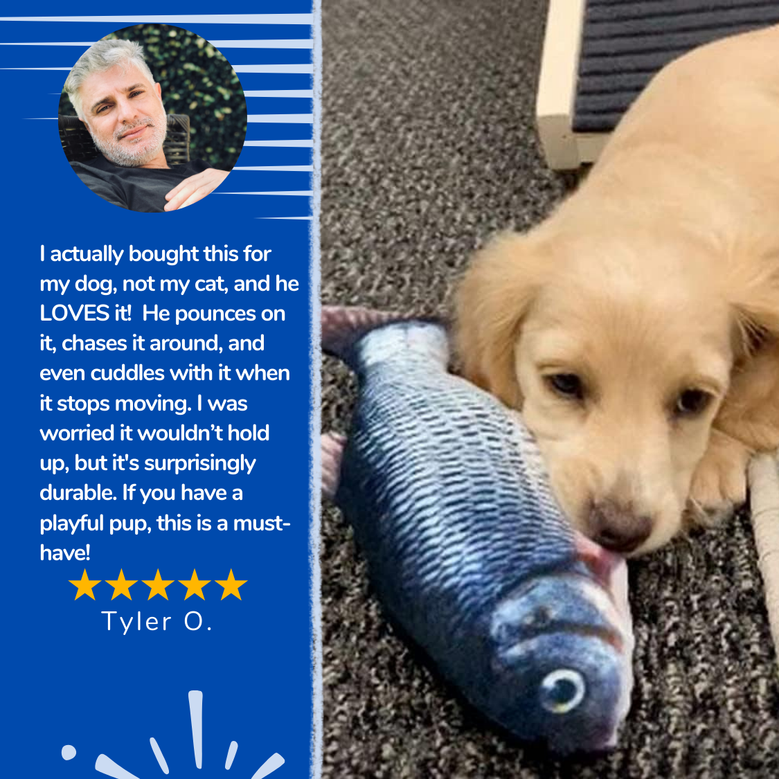 FlabbyFish™ - Cat Toy