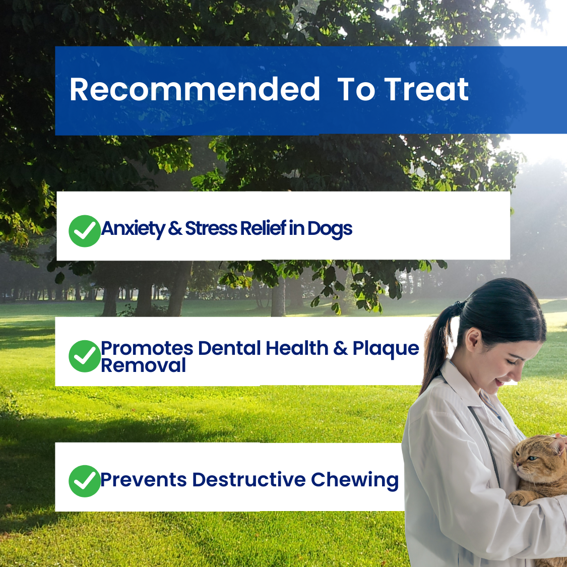 Chewster™ - Dog chew toy