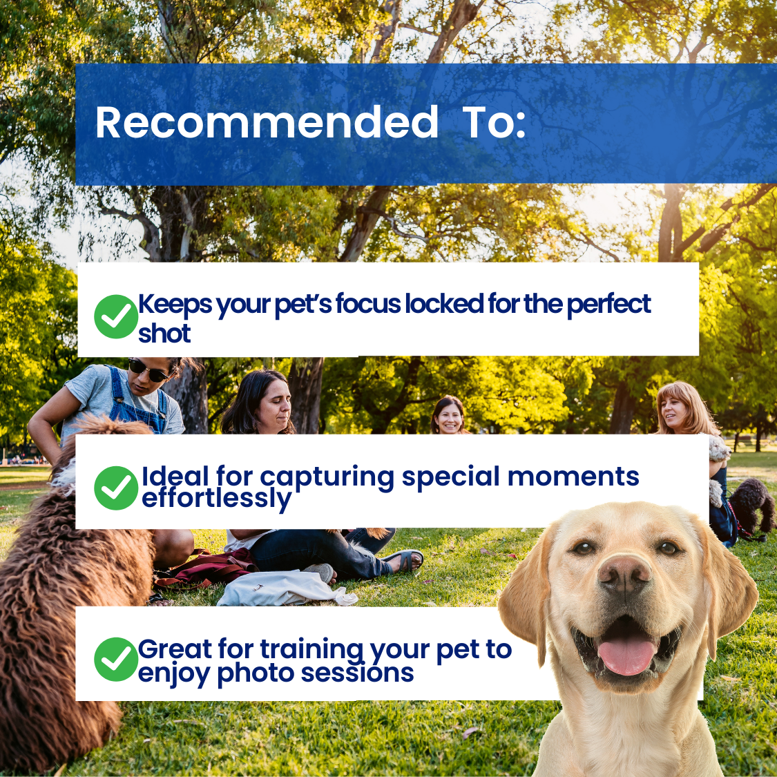 Pet-fect™ - Pet Selfie Stick