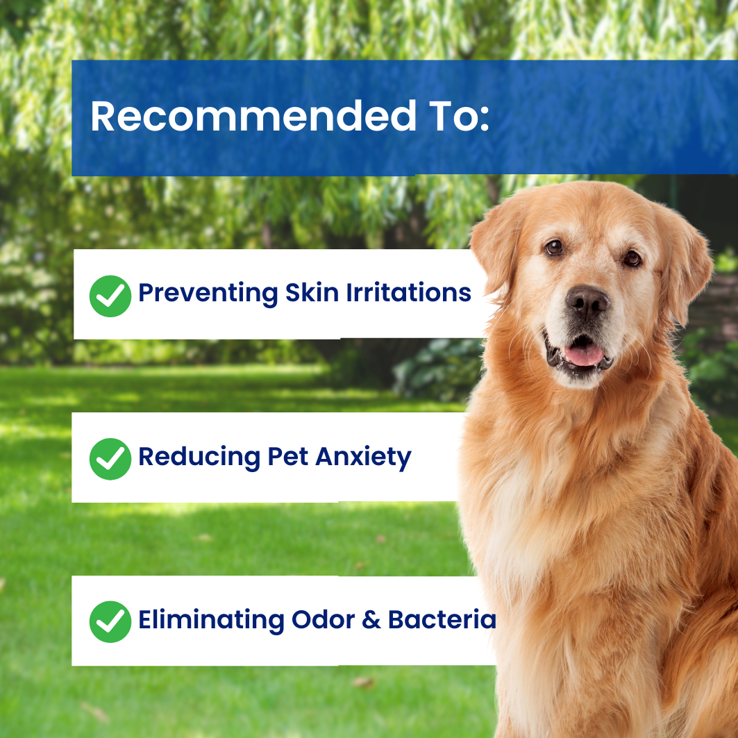 PetBreeze™ - Dog Hair Dryer