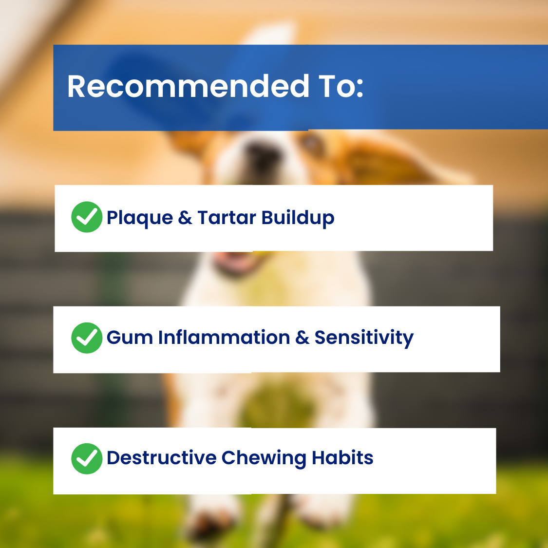 ChewBrush™ - Dog Toy