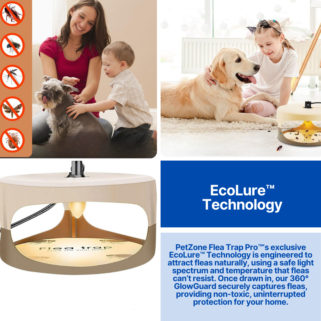 PetZone Flea Trap Pro™ - Flea Trap For Home