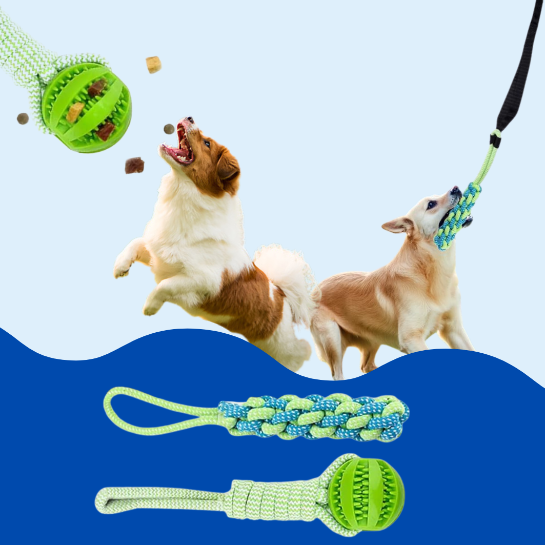 PawTug Infinity™ - Interactive Dog toy