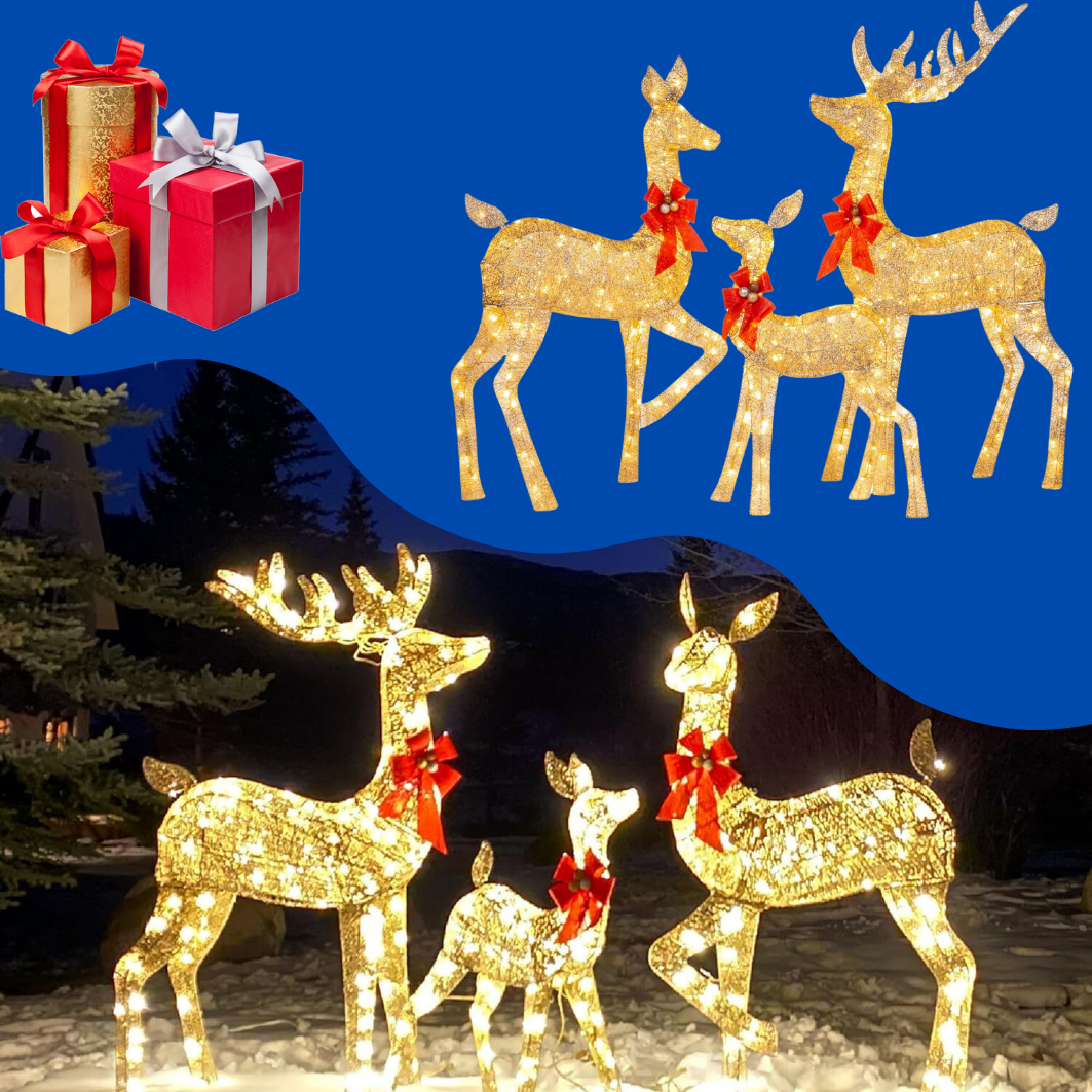 Starlit Meadows™ - Christmas Yard Decorations