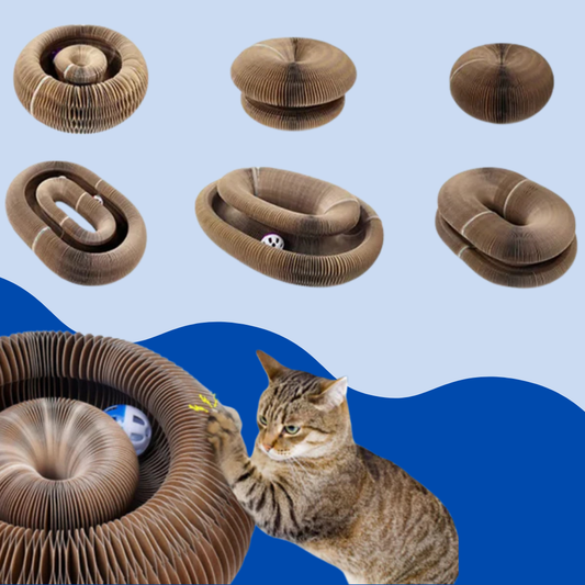 EcoPaw Layer - The #1  Cat Scratcher