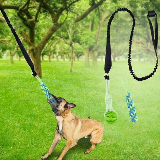 PawTug Infinity™ - Interactive Dog toy