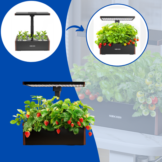 HydroHaven™ - Hydroponic System