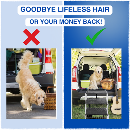 RhinoRamp™ - Dog ramp for car