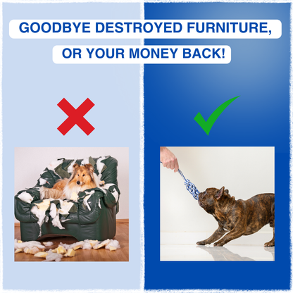 Chewster™ - Dog chew toy