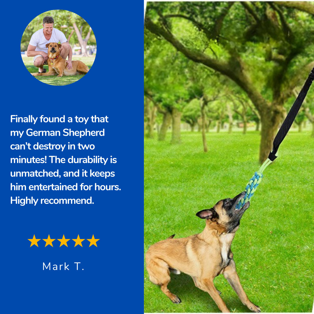 PawTug Infinity™ - Interactive Dog toy