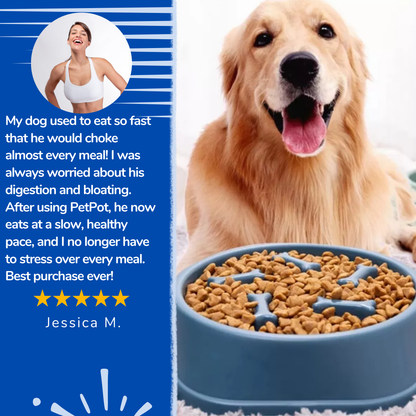 PetPot™ - Slow feeder