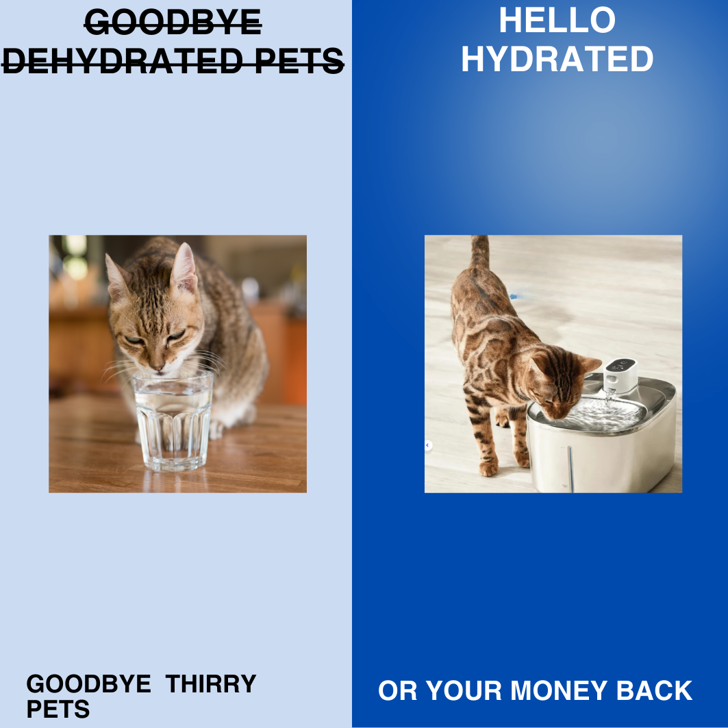 HydroPurr Fountain™ - Accessory For Cats