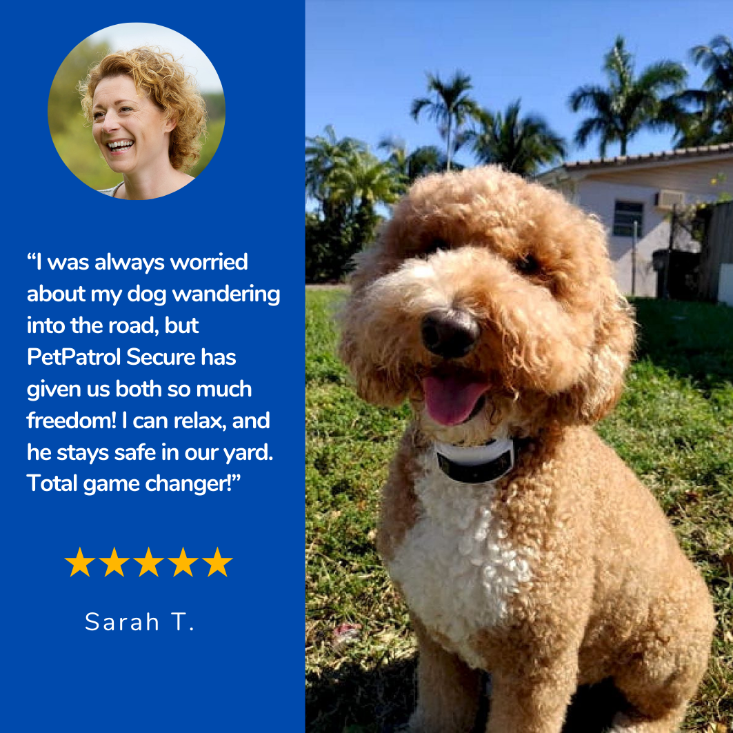 PetPatrol Secure - Wireless dog fence