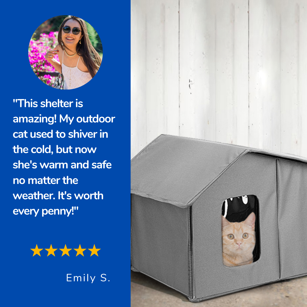 Feline Fortress™ - Outdoor cat house