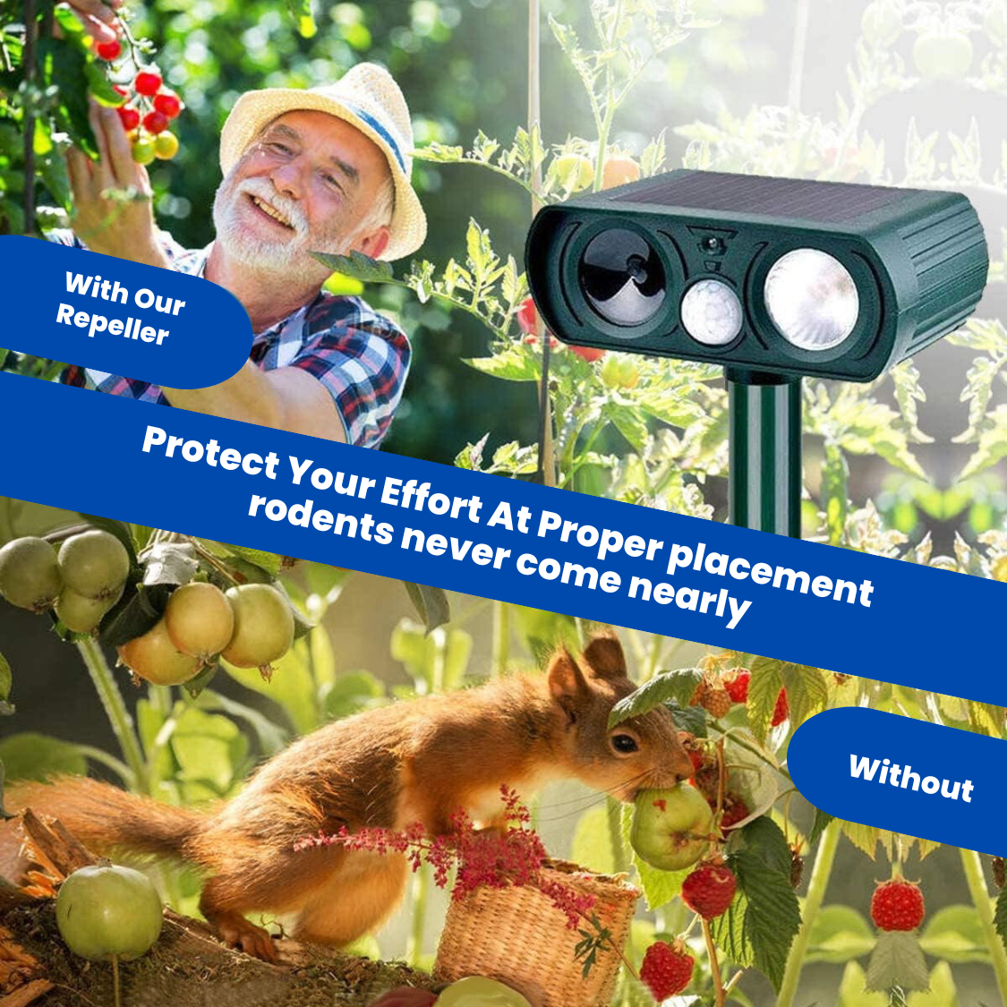 EcoDeflect™ Solar Repelle - The #1 Cat repellent