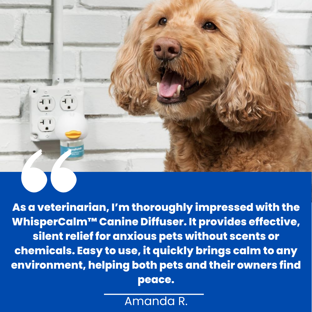 WhisperCalm™ Canine Diffuser - Dog Anxiety