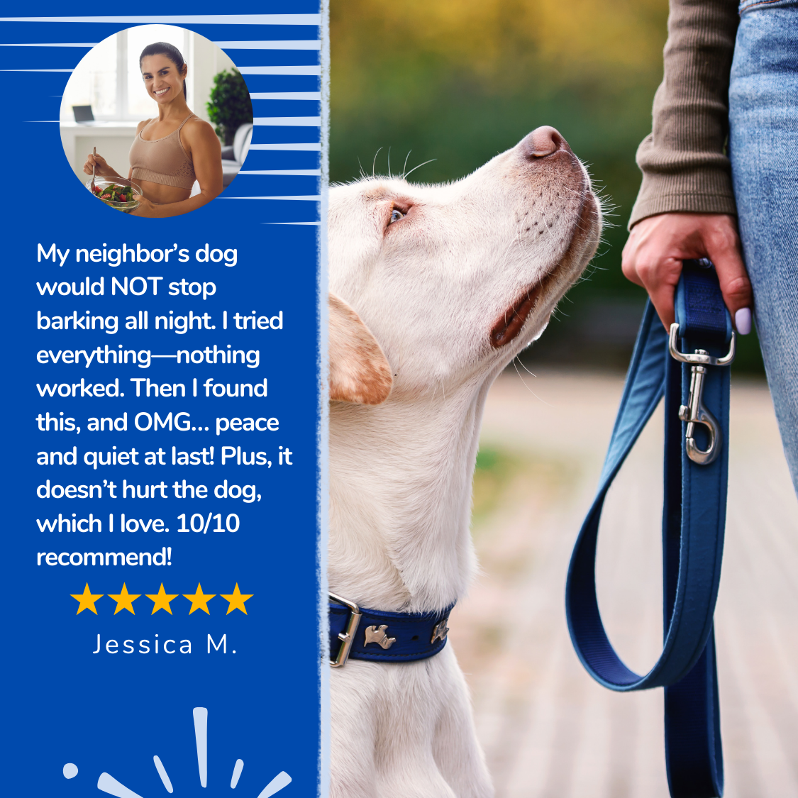 DogAway Ultrasonic™ - Dog Deterrent