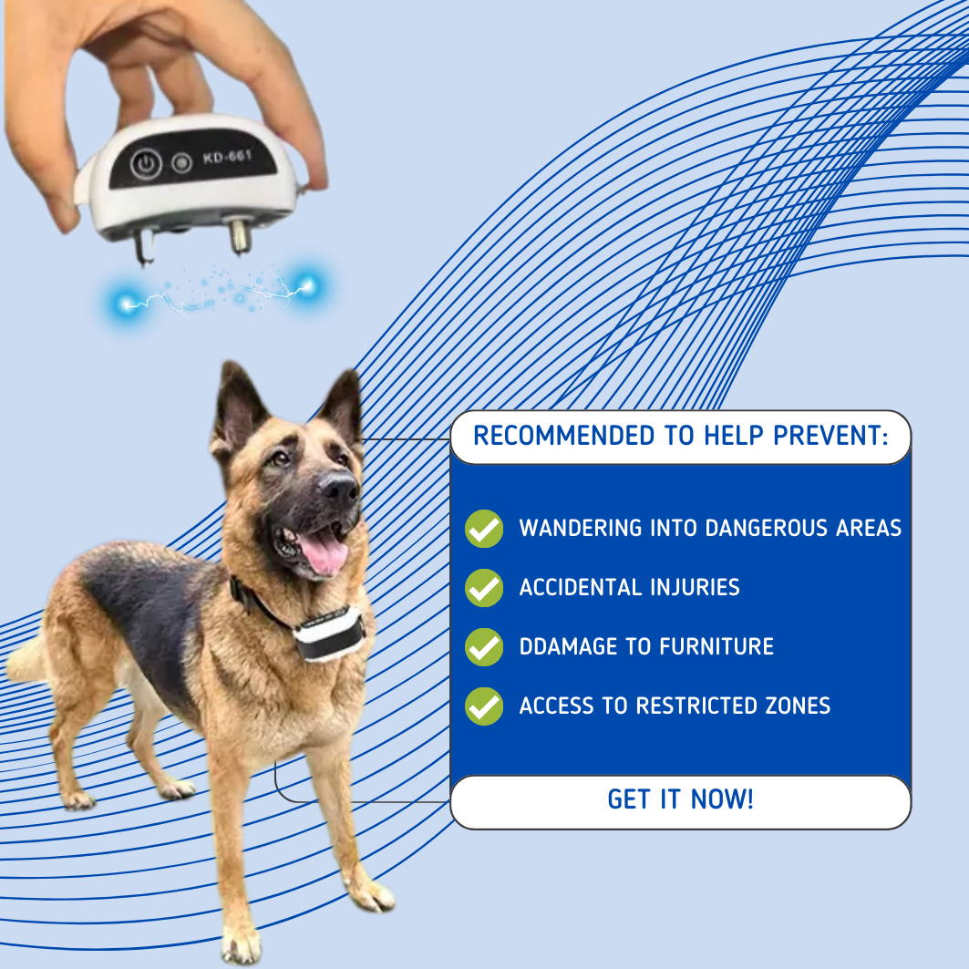 PetPatrol Secure - Wireless dog fence