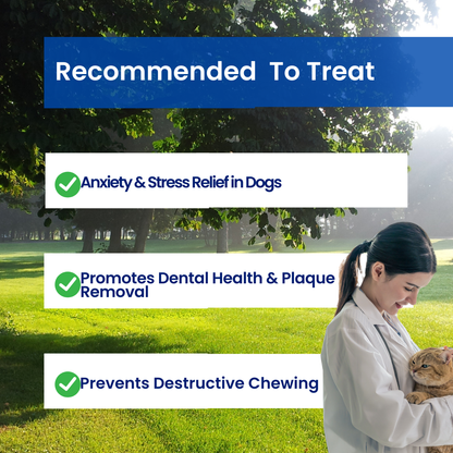 Chewster™ - Dog chew toy