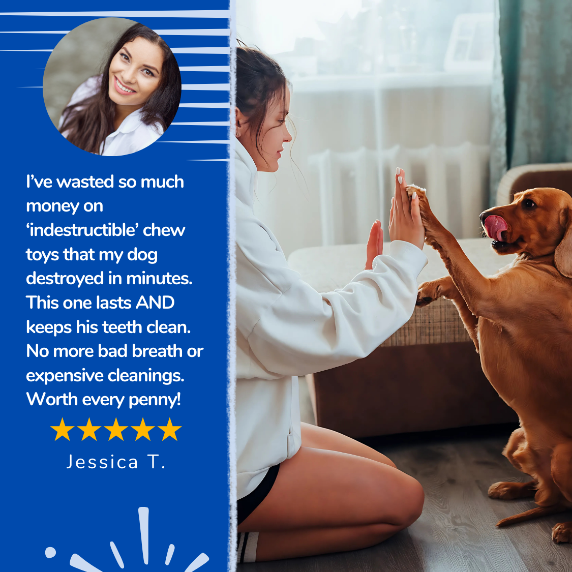 ChewBrush™ - Dog Toy