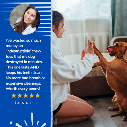 ChewBrush™ - Dog Toy