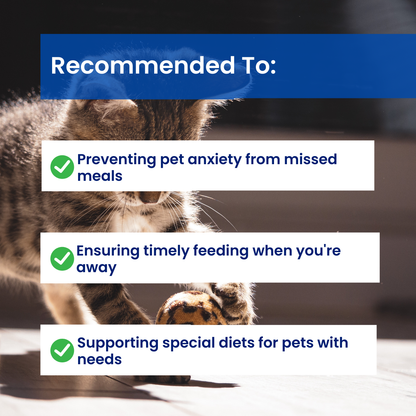 FeedSure™ - Cat Automatic Feeder