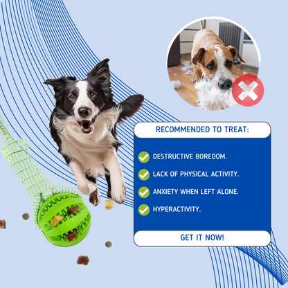 PawTug Infinity™ - Interactive Dog toy