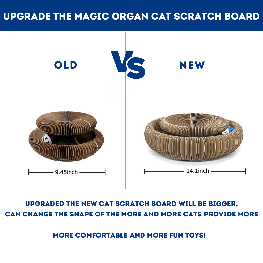 EcoPaw Layer - The #1  Cat Scratcher