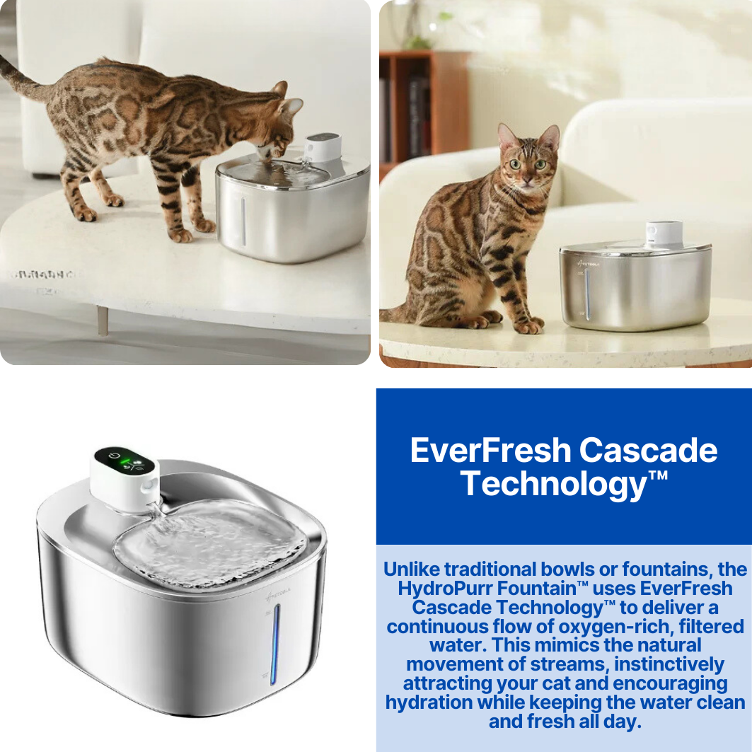 HydroPurr Fountain™ - Accessory For Cats