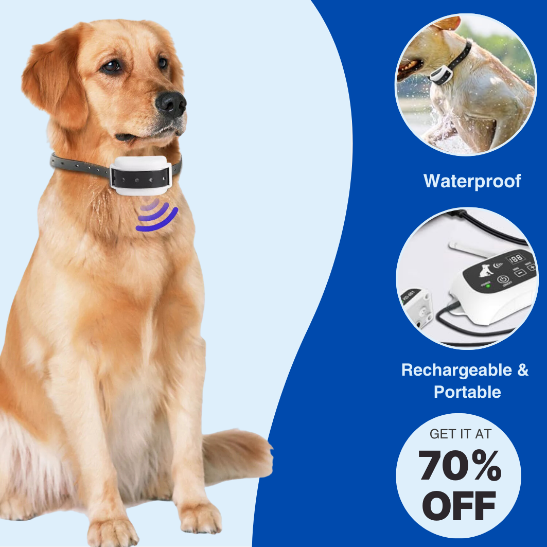 PetPatrol Secure - Wireless dog fence