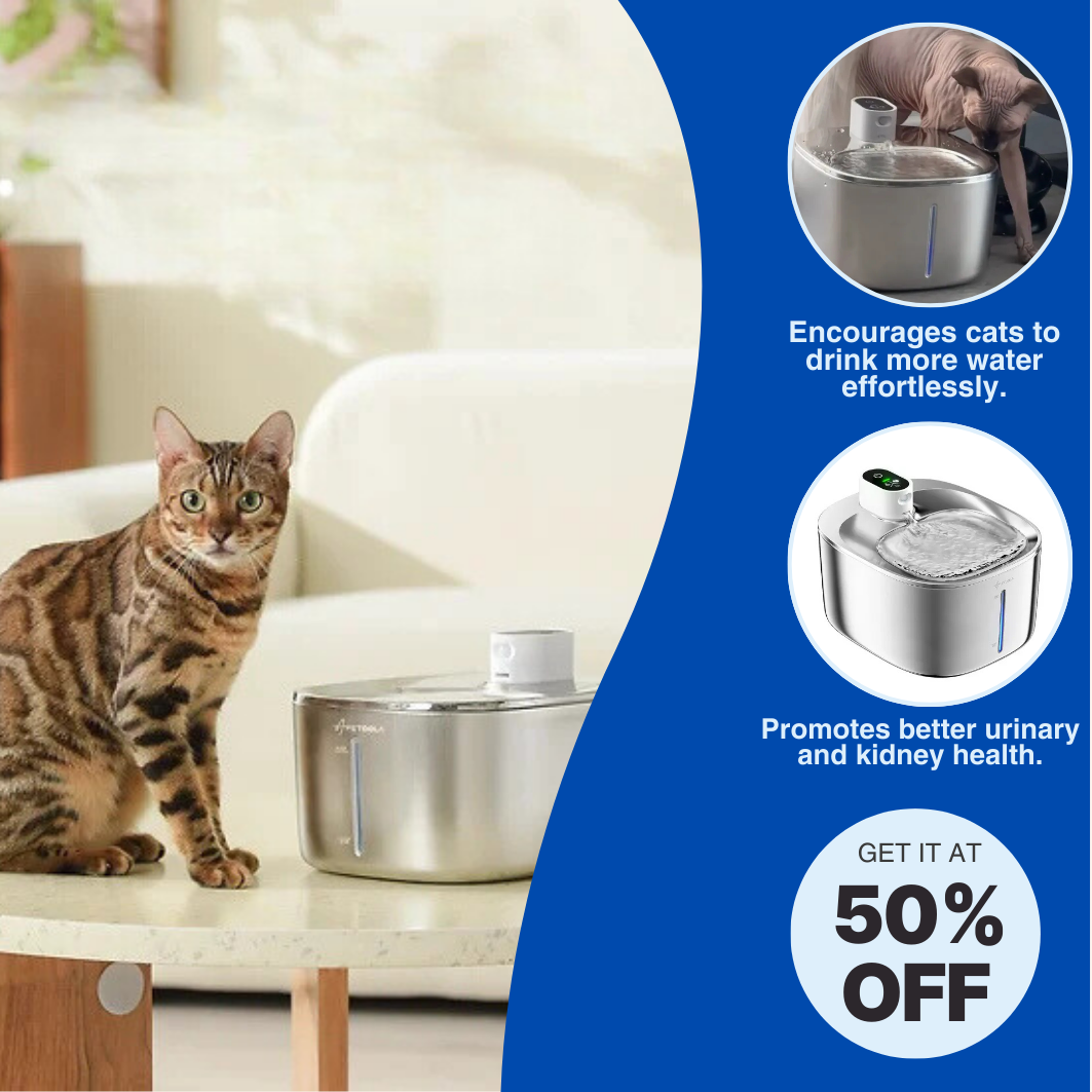 HydroPurr Fountain™ - Accessory For Cats