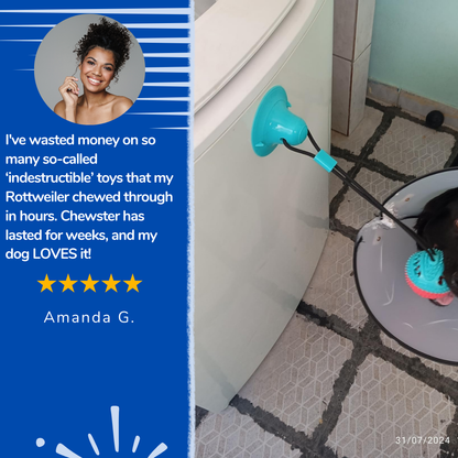 Chewster™ - Dog chew toy