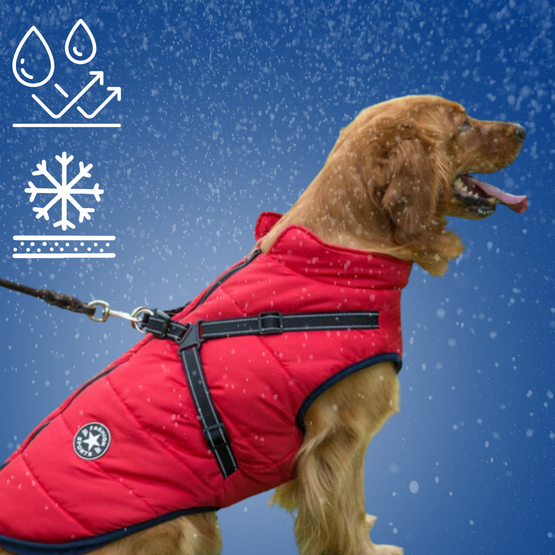 RainSafe Pro Weave™ - Dog Jacket