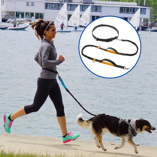 DogCol Reflective™ - Reflective Rope Pet Leashes