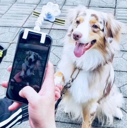 Pet-fect™ Pet Selfie Stick