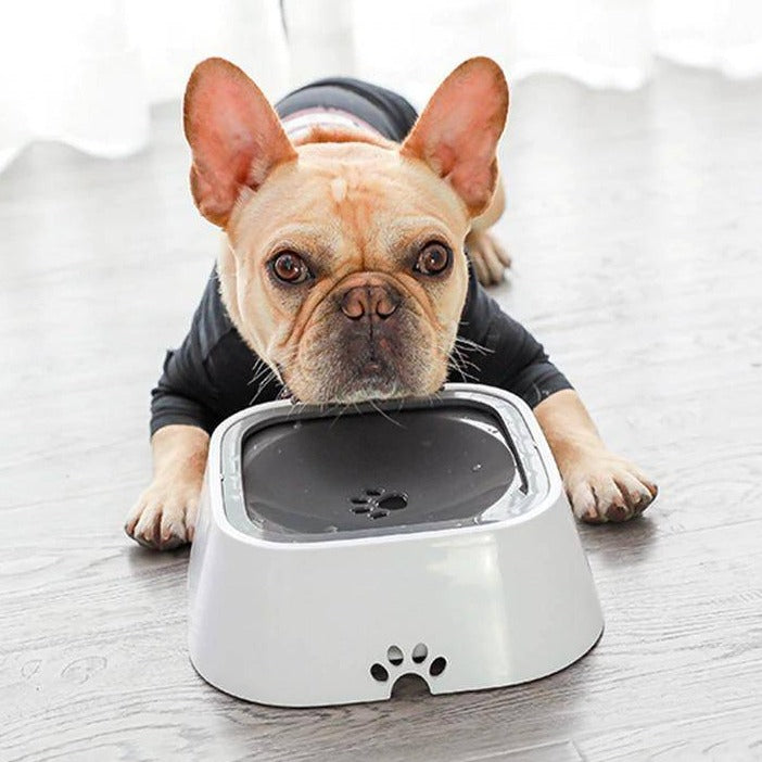 DrySip™ The #1 Anti-Spill Pet Water Bowl, Slow Feeder Dog Water Bowl —  Golden Shop®